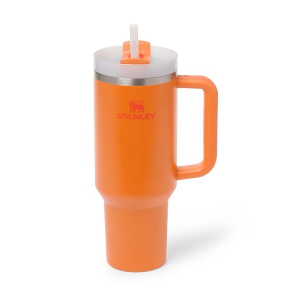 Quencher H2.0 FlowState Tumbler